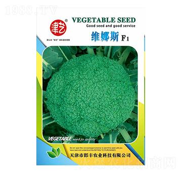 ���m���N��-�S�{˹-���S�r(n��ng)�I(y��)