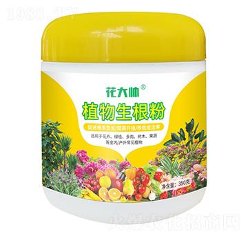 植物生根粉-花大帥-綠沃肥業(yè)