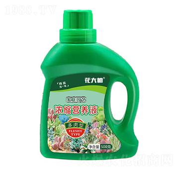 多肉型家庭園藝濃縮營養(yǎng)液-花大帥-綠沃肥業(yè)