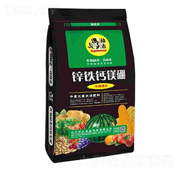 中量元素水溶肥料-鋅鐵鈣鎂硼-助民豐-中億農(nóng)業(yè)