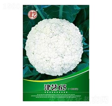 ���˷N��-��ˇ65-���S�r(n��ng)�I(y��)